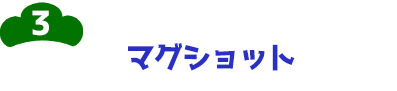 3-マグショット